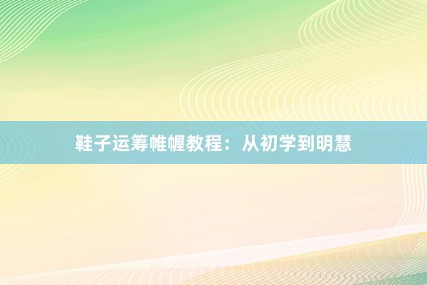 鞋子运筹帷幄教程：从初学到明慧