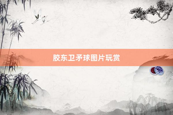 胶东卫矛球图片玩赏