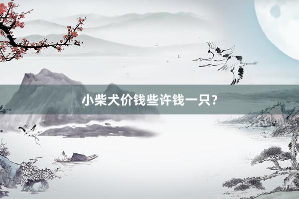 小柴犬价钱些许钱一只？